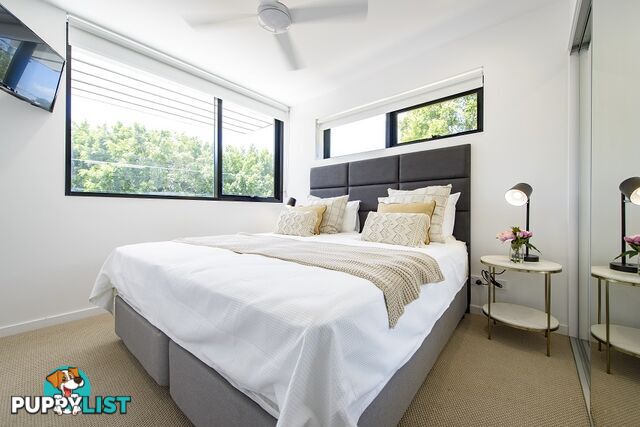 ID:21099445 88 Waldheim Street Annerley QLD 4103
