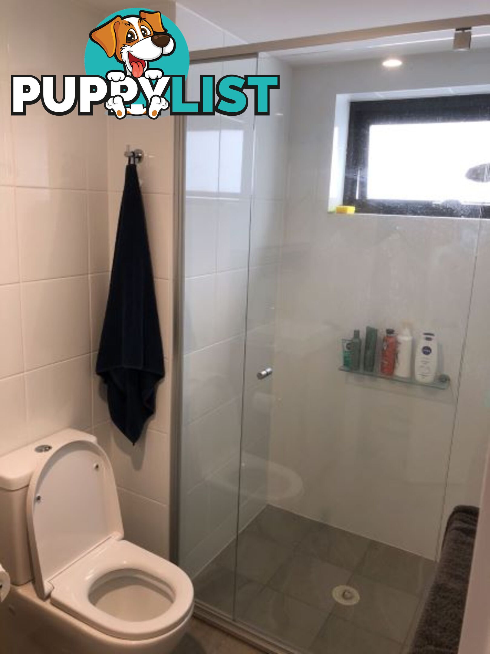 ID:21099445 88 Waldheim Street Annerley QLD 4103