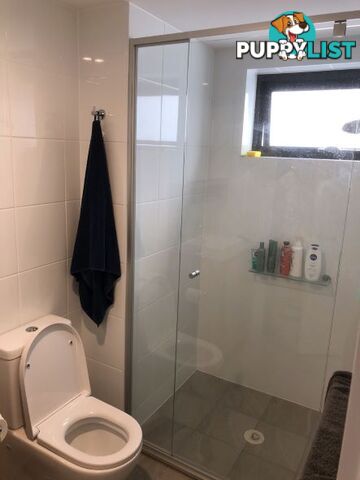 ID:21099445 88 Waldheim Street Annerley QLD 4103