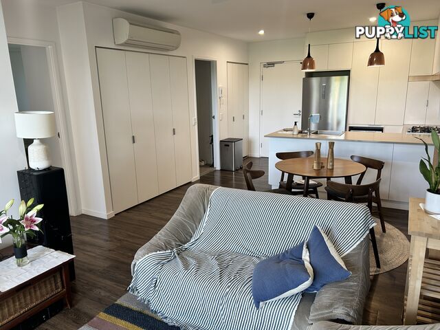ID:21099445 88 Waldheim Street Annerley QLD 4103