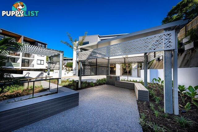 ID:21099445 88 Waldheim Street Annerley QLD 4103