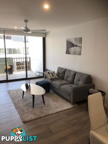 ID:21099445 88 Waldheim Street Annerley QLD 4103