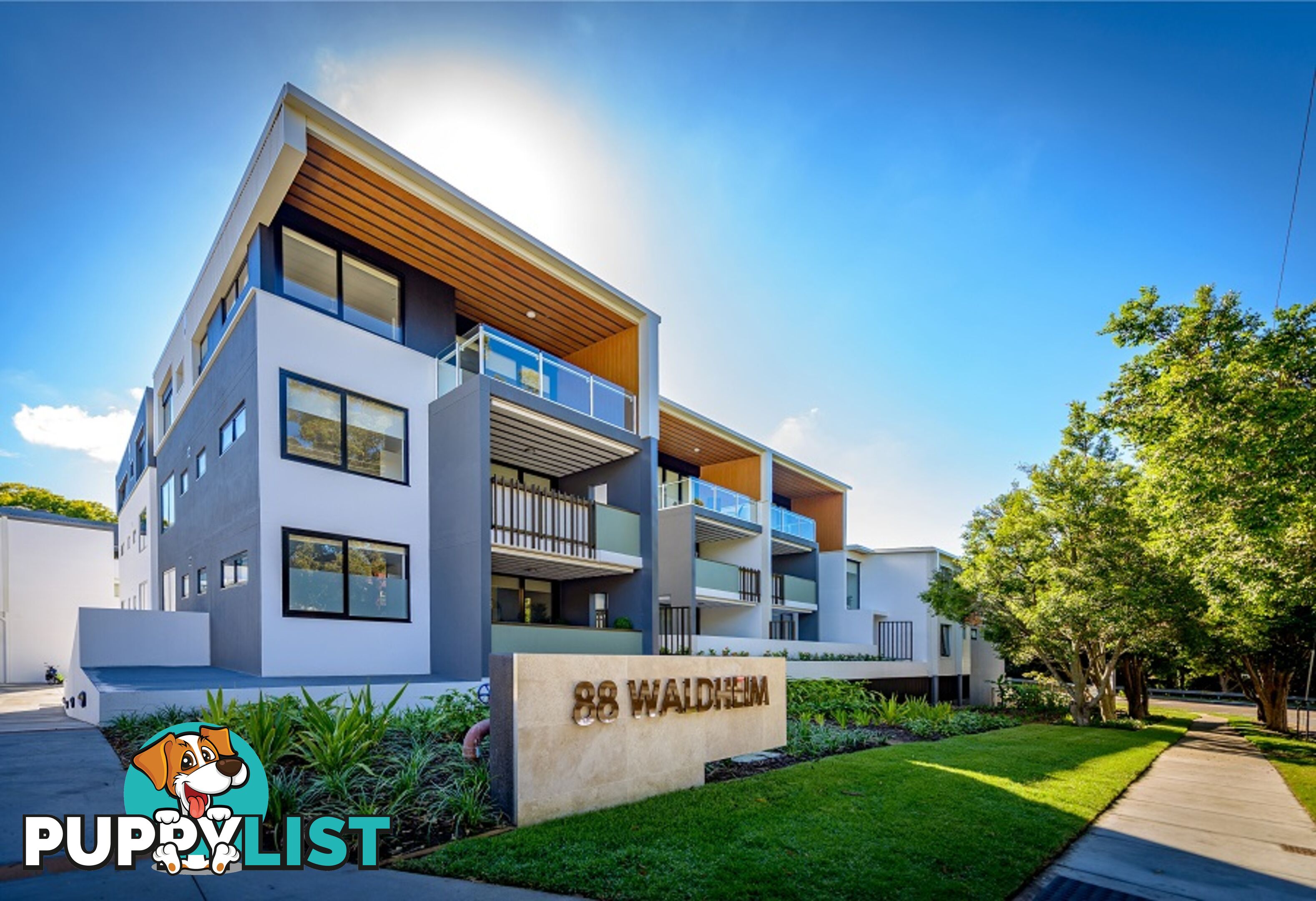 ID:21099445 88 Waldheim Street Annerley QLD 4103