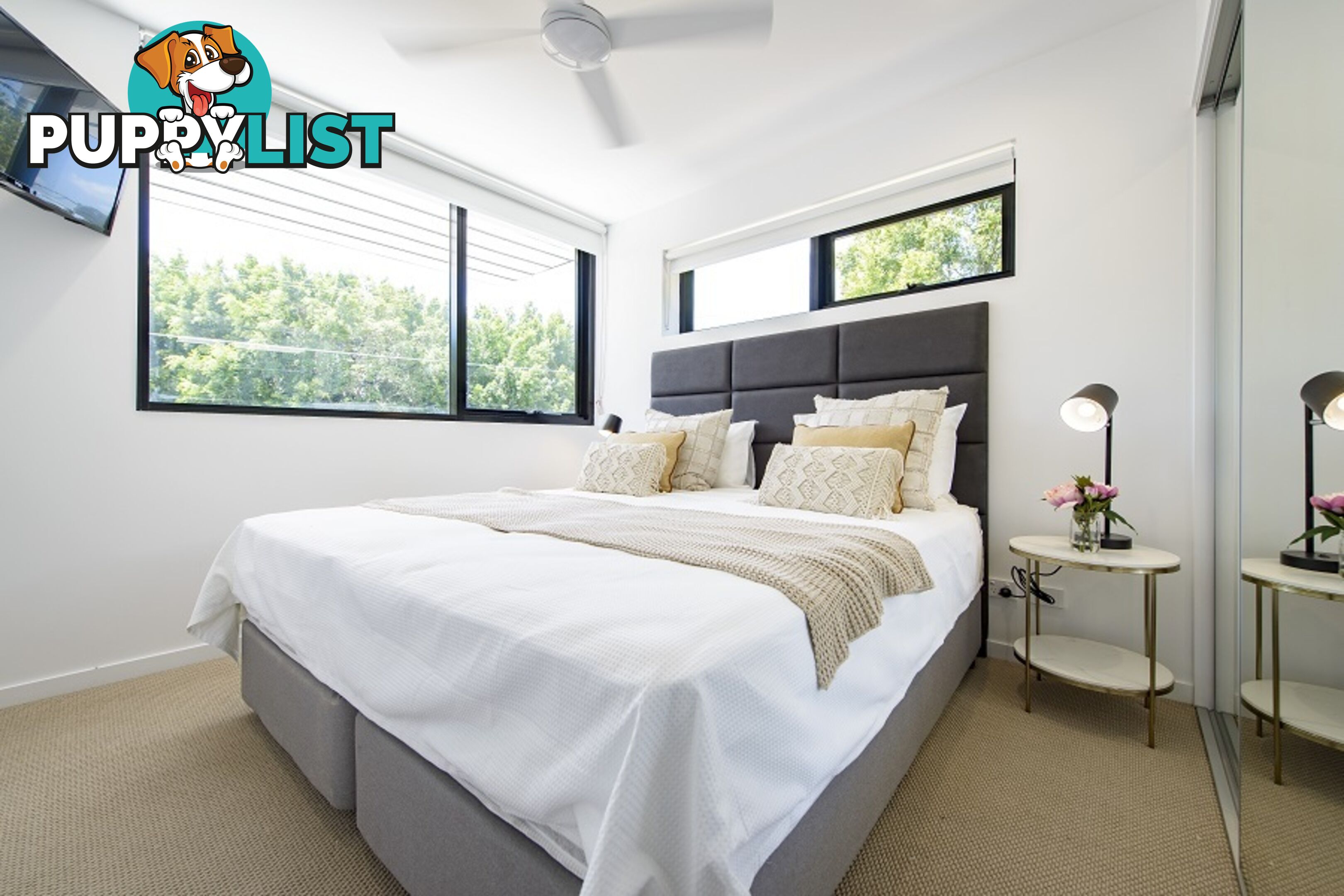 ID:21099445 88 Waldheim Street Annerley QLD 4103
