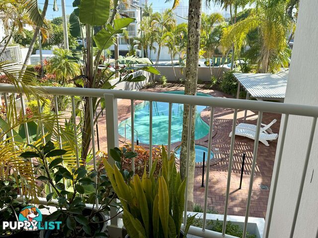 ID:21158684 32 William Street Mermaid Beach QLD 4218