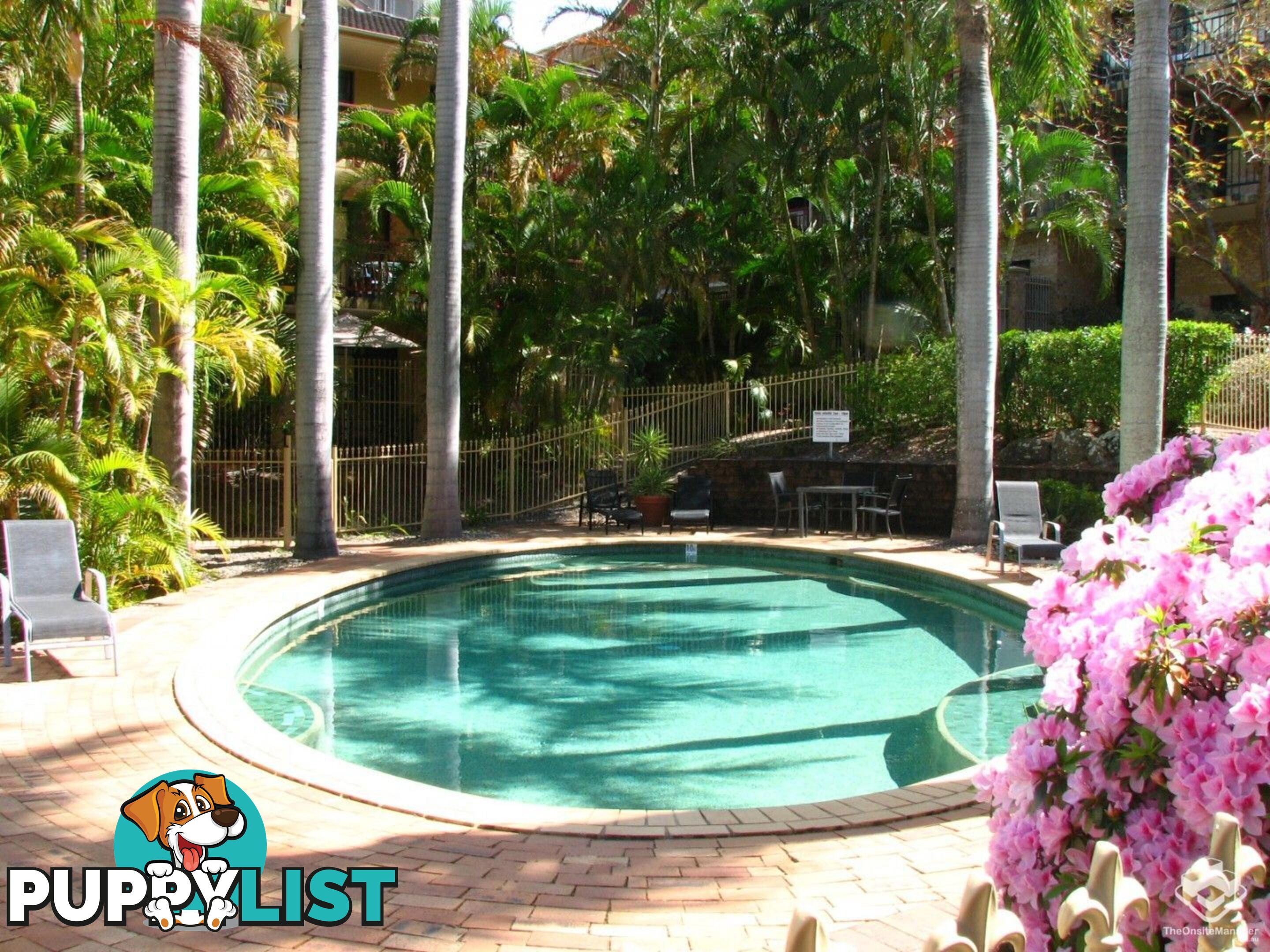 ID:21157740 50 Anderson Street Fortitude Valley QLD 4006