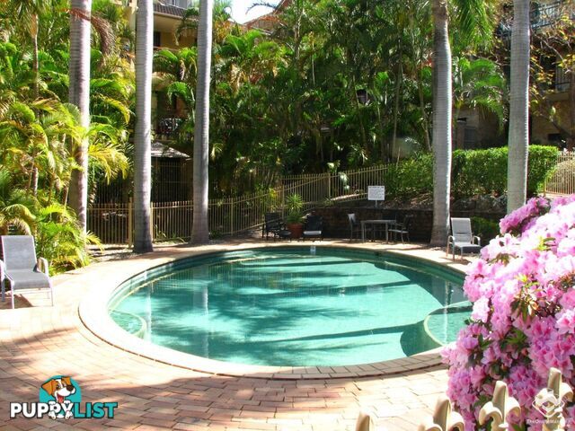 ID:21157740 50 Anderson Street Fortitude Valley QLD 4006