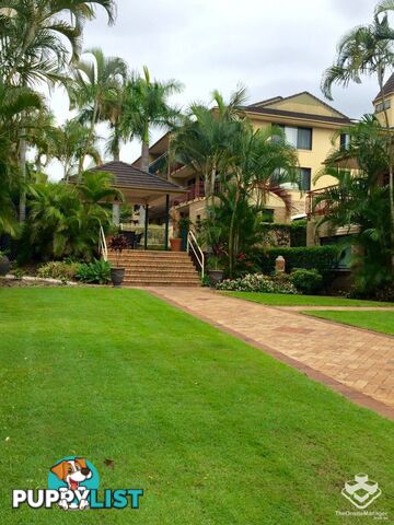 ID:21157740 50 Anderson Street Fortitude Valley QLD 4006