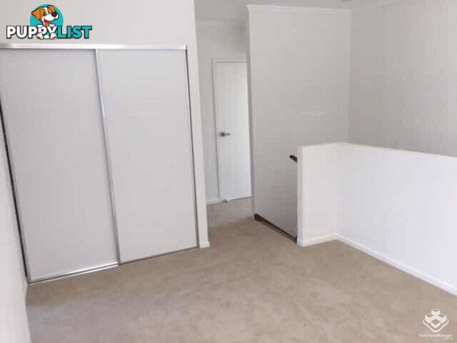 93 Evergreen View Robina QLD 4226