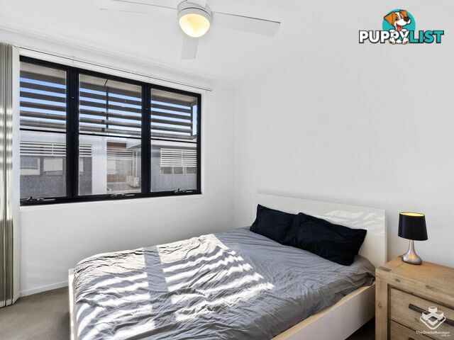 93 Evergreen View Robina QLD 4226