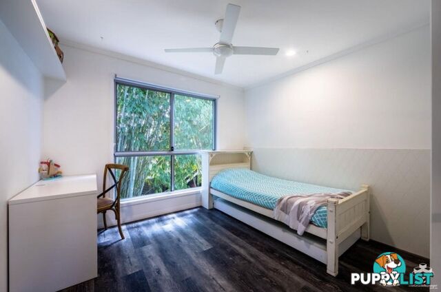 19 Willow Street Varsity Lakes QLD 4227