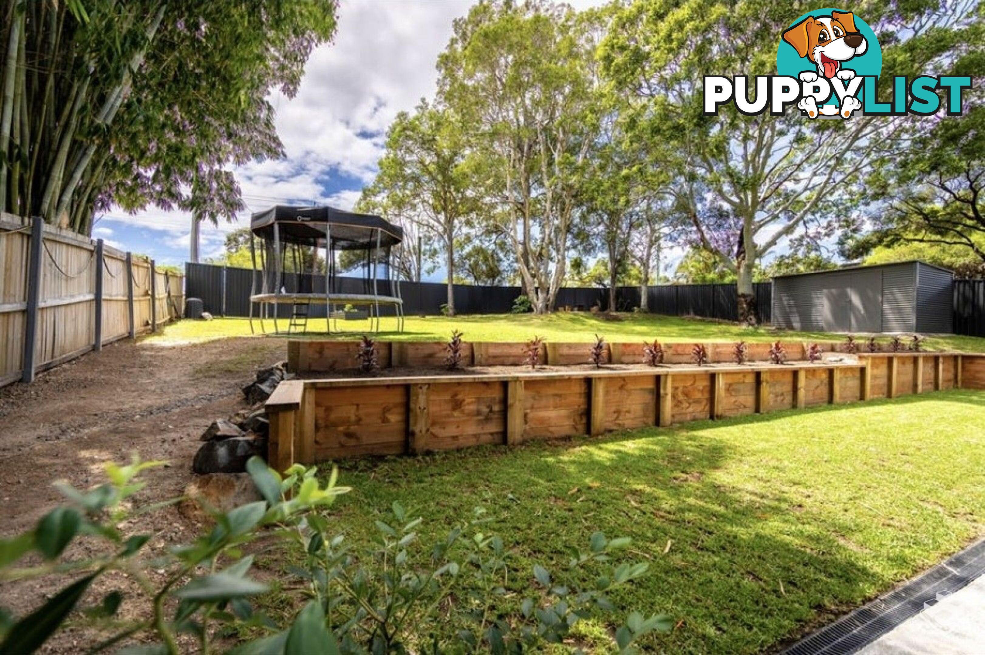 19 Willow Street Varsity Lakes QLD 4227