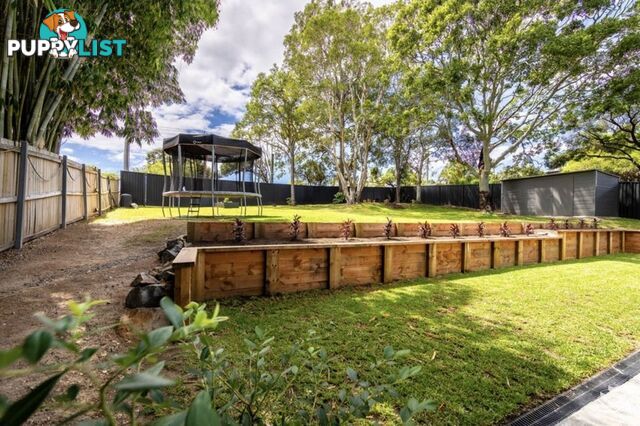 19 Willow Street Varsity Lakes QLD 4227
