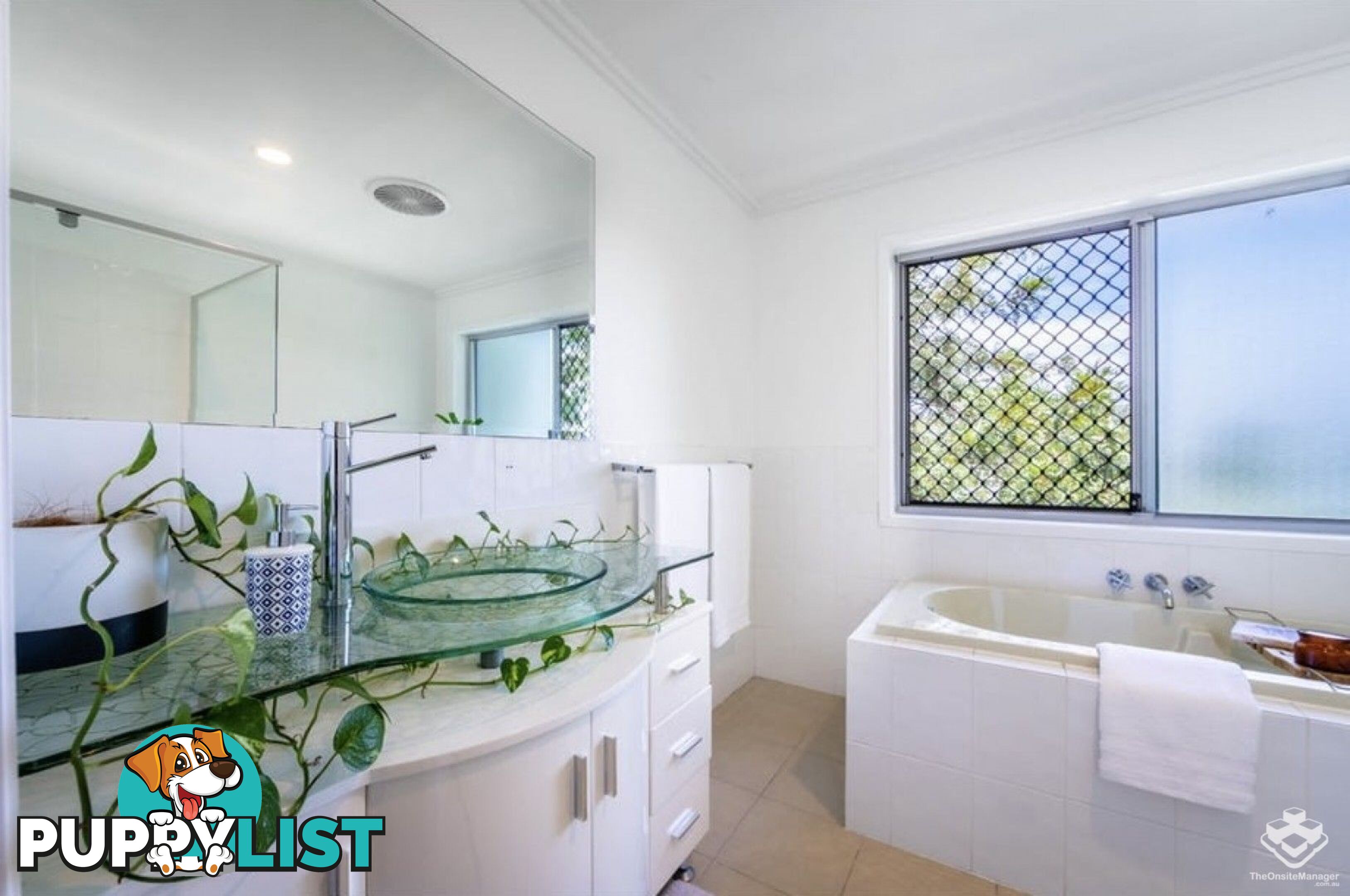 19 Willow Street Varsity Lakes QLD 4227