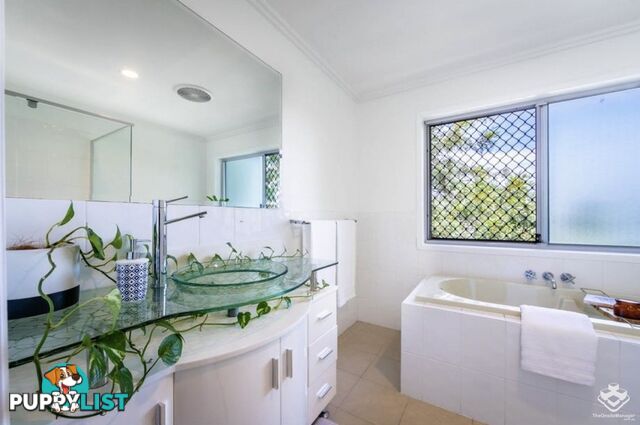 19 Willow Street Varsity Lakes QLD 4227