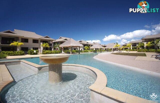 ID:21156833 1-15 Robson Street Mooroobool QLD 4870