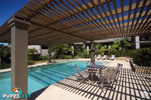 ID:21156833 1-15 Robson Street Mooroobool QLD 4870