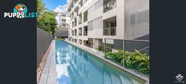 ID:21156885 43 Beeston Street Teneriffe QLD 4005
