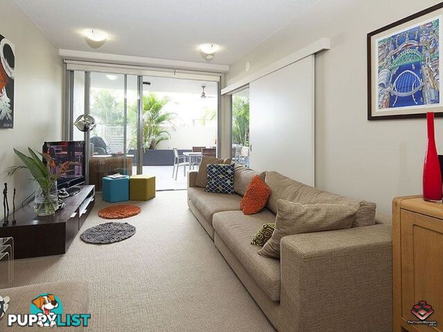 ID:3882710/70 Love Street Bulimba QLD 4171