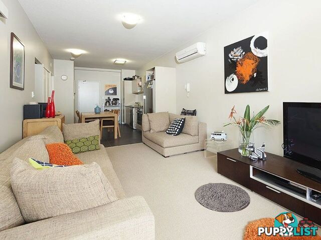 ID:3882710/70 Love Street Bulimba QLD 4171