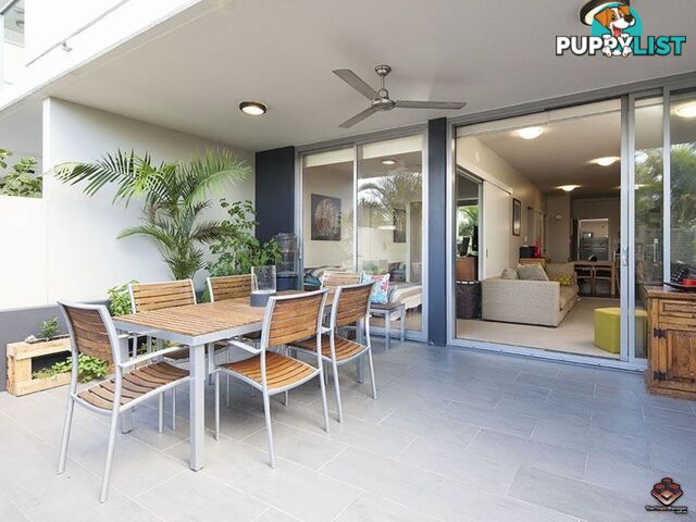 ID:3882710/70 Love Street Bulimba QLD 4171