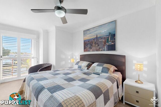 91A Gellibrand Street Clayfield QLD 4011