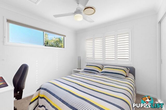 91A Gellibrand Street Clayfield QLD 4011