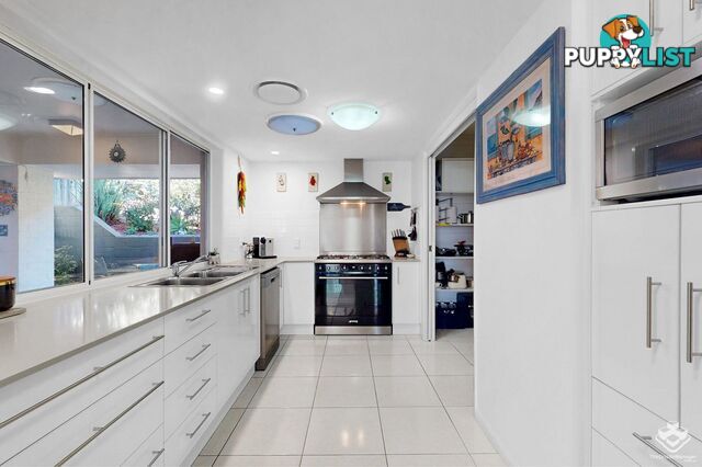 91A Gellibrand Street Clayfield QLD 4011