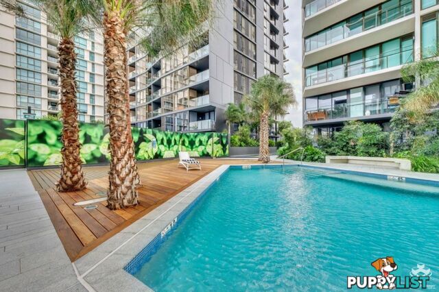 41908/1033 Ann Street Newstead QLD 4006