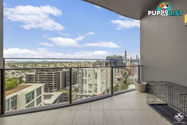 41908/1033 Ann Street Newstead QLD 4006