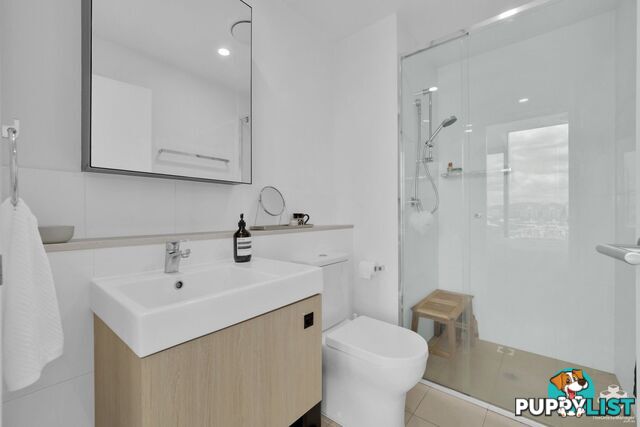41908/1033 Ann Street Newstead QLD 4006