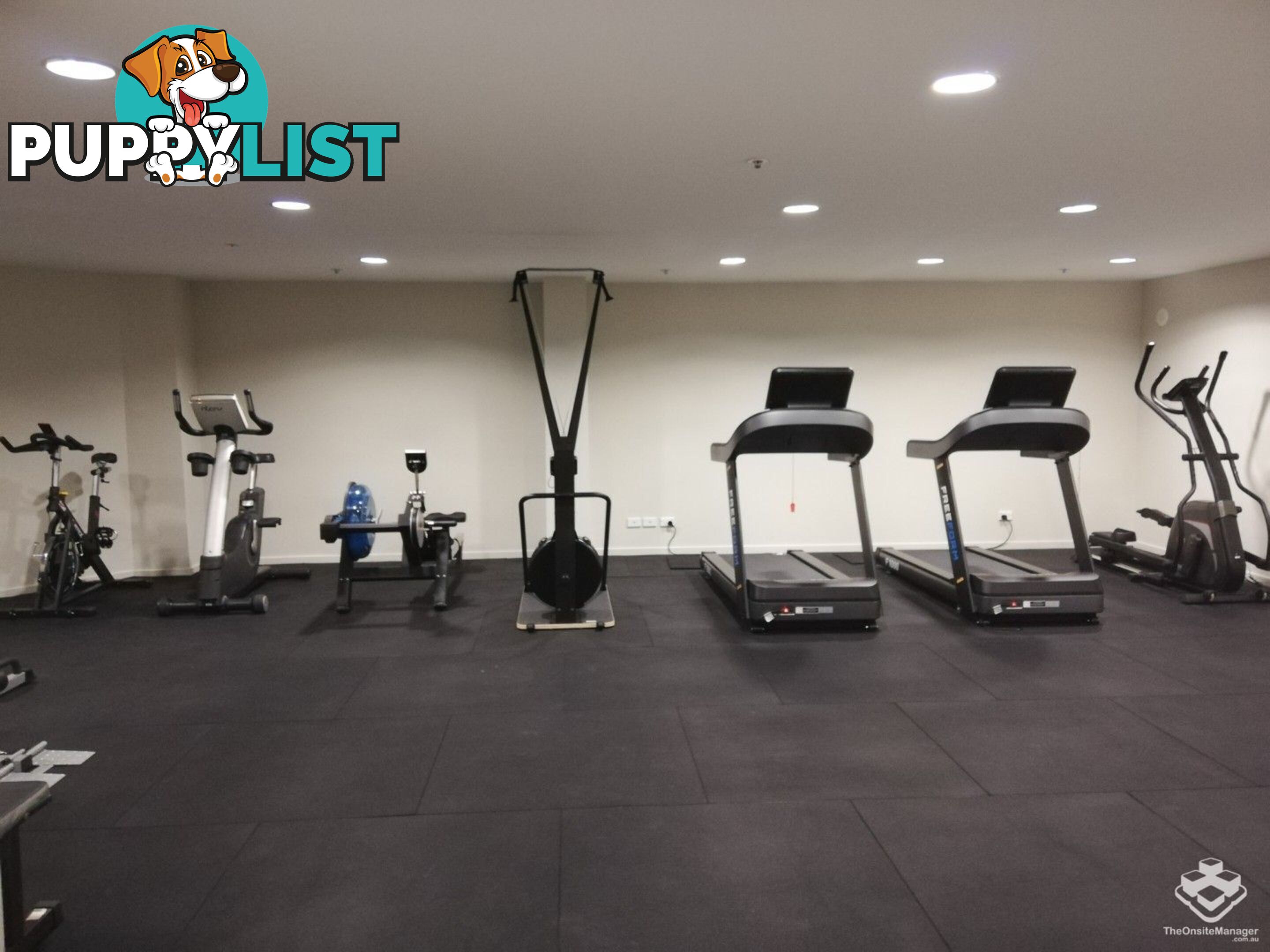 ID:21156240 21-31 Cypress Avenue Surfers Paradise QLD 4217