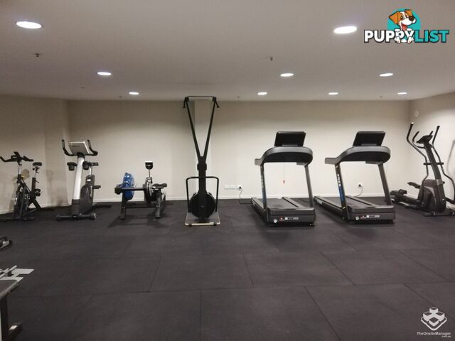ID:21156240 21-31 Cypress Avenue Surfers Paradise QLD 4217