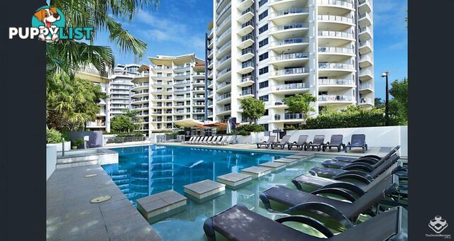 ID:21156240 21-31 Cypress Avenue Surfers Paradise QLD 4217