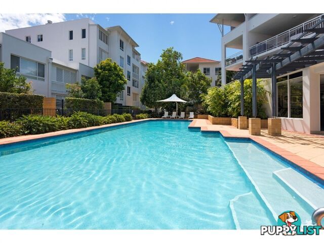 ID:21156190 6 Merthyr Road New Farm QLD 4005