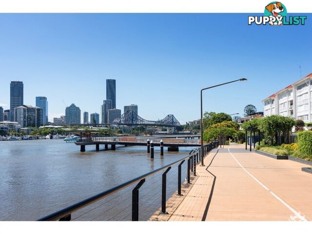 ID:21156190 6 Merthyr Road New Farm QLD 4005