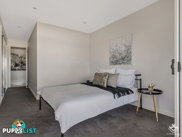 ID:21155109 19 Tank Street Kelvin Grove qld 4059