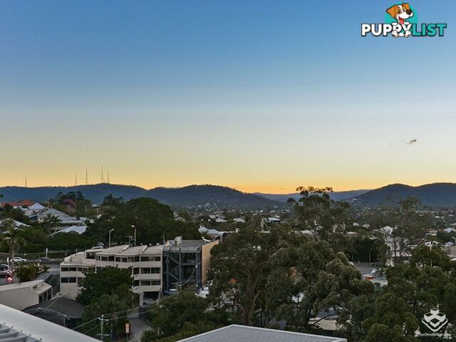ID:21155109 19 Tank Street Kelvin Grove qld 4059