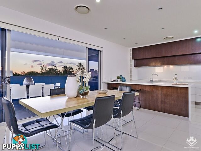 ID:21155109 19 Tank Street Kelvin Grove qld 4059