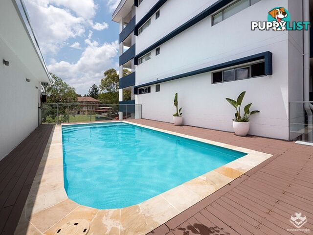 ID:21154876 19 Tank Street Kelvin Grove qld 4059