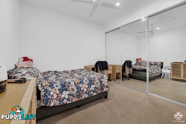 ID:21158859 24 Stratton Street Newstead QLD 4006