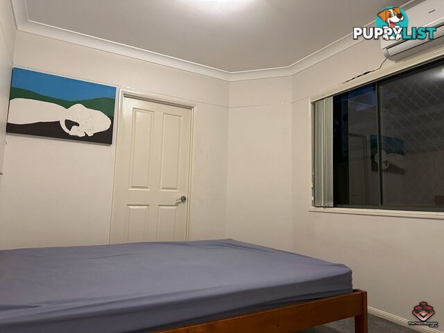 85 Morden Road Sunnybank Hills QLD 4109