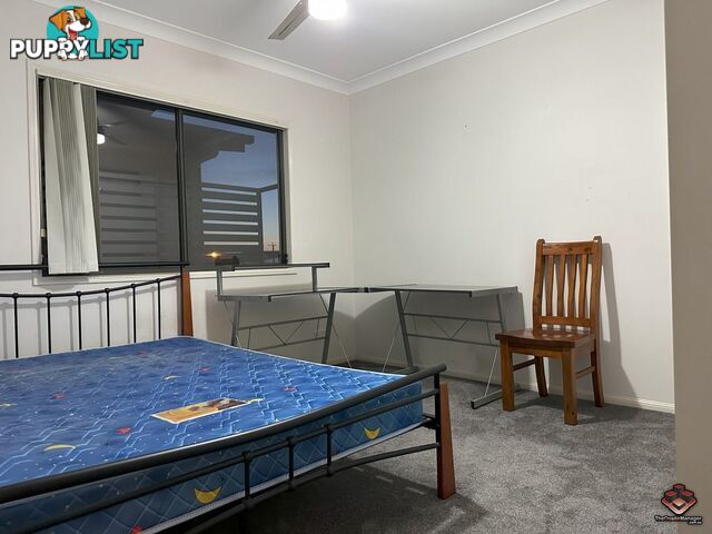 85 Morden Road Sunnybank Hills QLD 4109