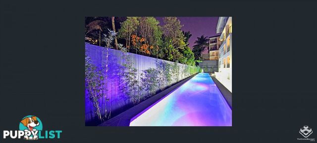 ID:21153676 43 Beeston Street Teneriffe QLD 4005