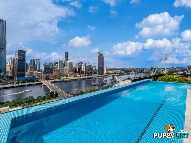 ID:21083922/77 Grey Street South Brisbane QLD 4101