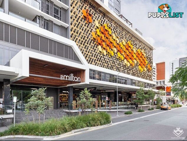 ID:21132163 55 Railway Terrace Milton QLD 4064