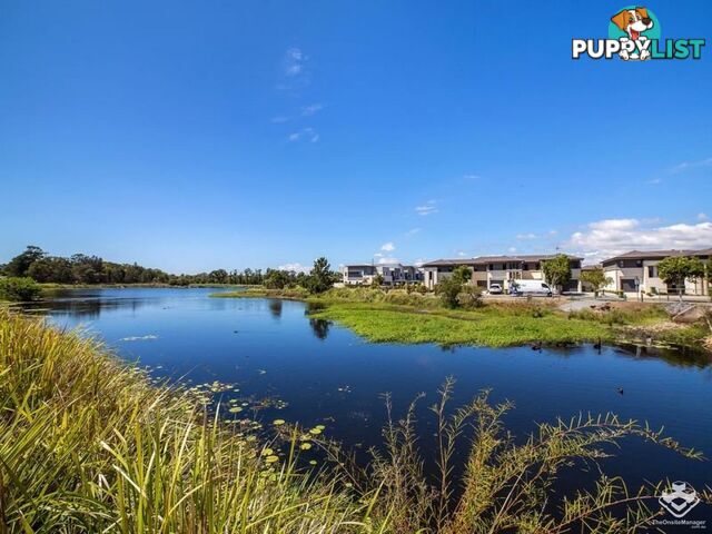 109 / 2 Inland Drive Tugun QLD 4224