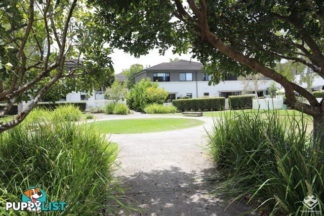 109 / 2 Inland Drive Tugun QLD 4224