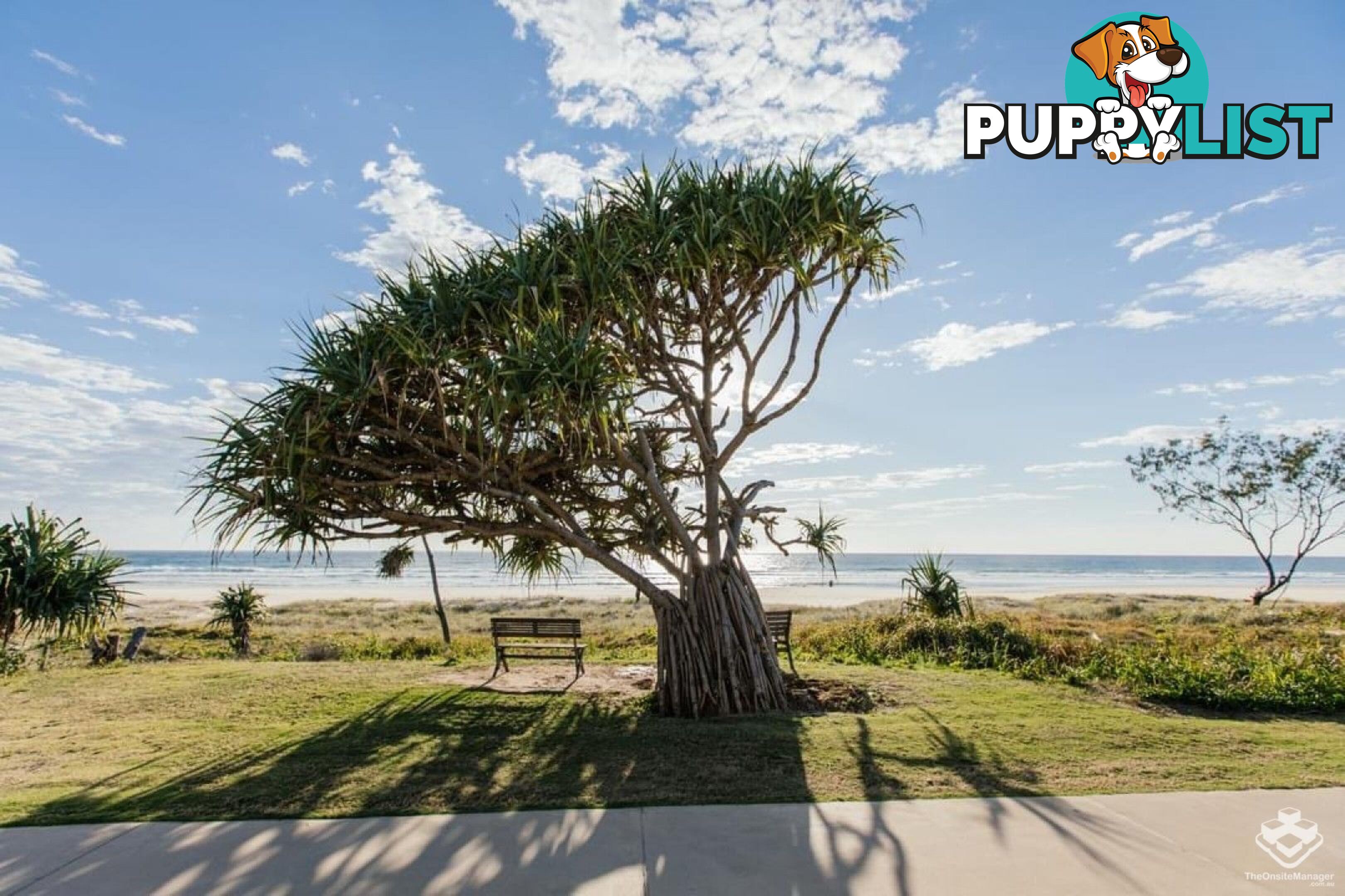 109 / 2 Inland Drive Tugun QLD 4224