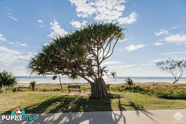 109 / 2 Inland Drive Tugun QLD 4224